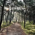 Morski Chill شقة Jastrzębia Góra